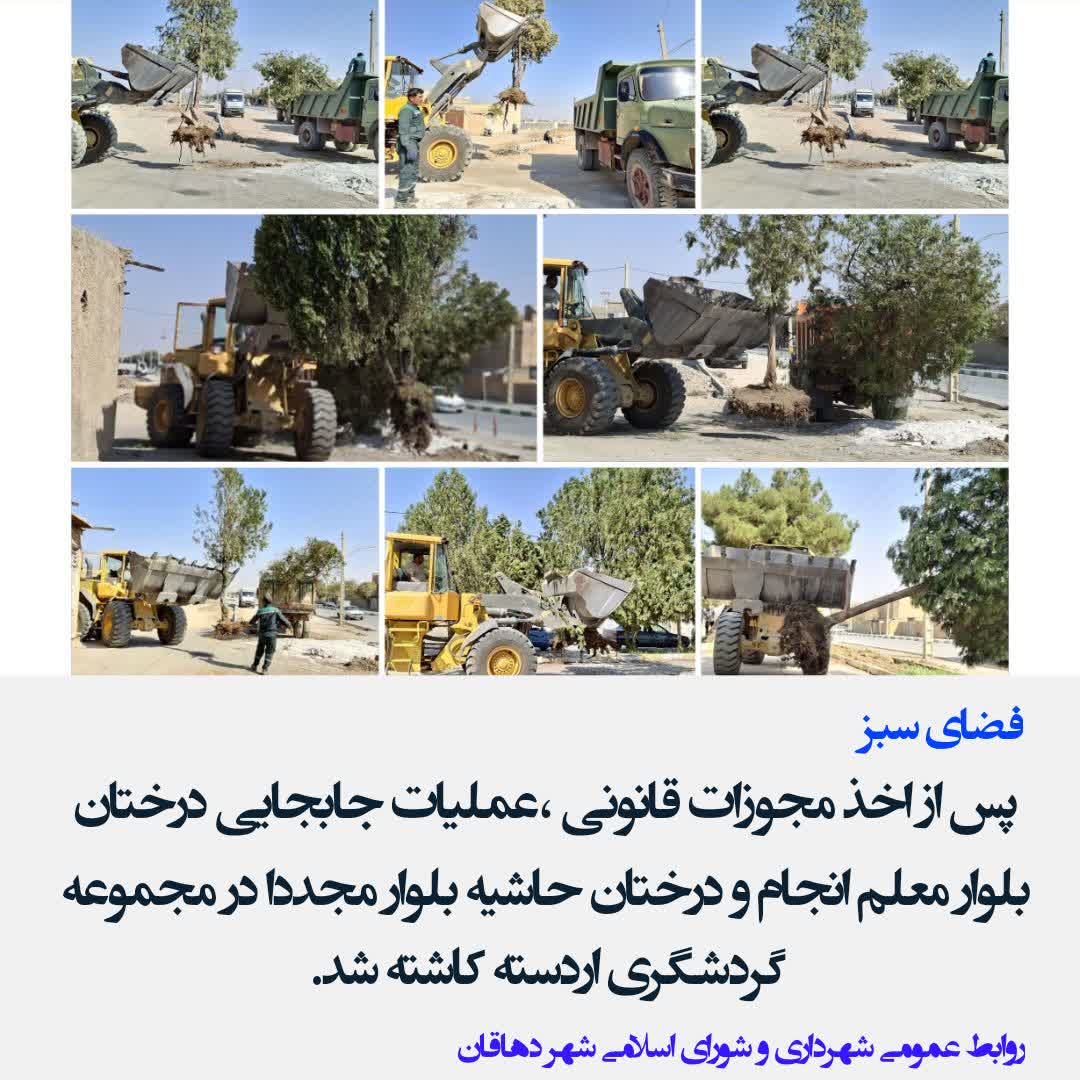 فضای سبز بلوار معلم